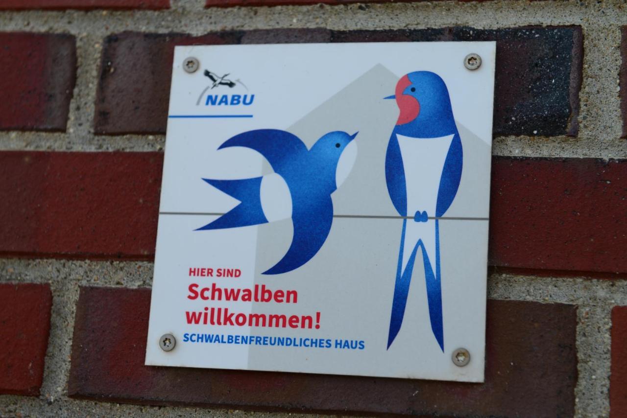 Appartamento Jensen-Huus Dagebüll Esterno foto